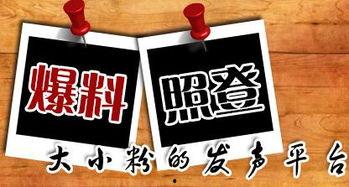 广州有什么爆料新闻平台,聚焦城市热点事件与独家新闻资讯  第1张