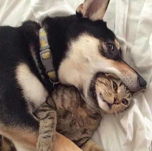 爆料人笑出鹅叫声视频  第2张